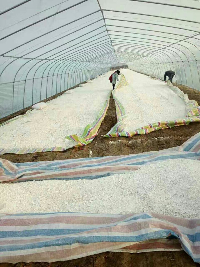 社旗三粉之乡，红薯淀粉