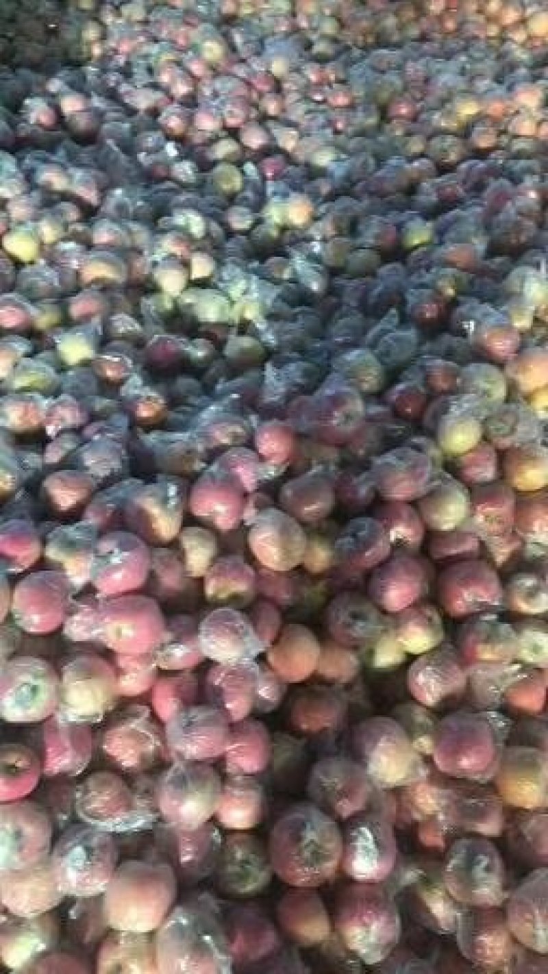 一苹果