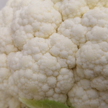 雪球白面实花菜加工厂超市都可