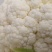 雪球白面实花菜加工厂超市都可