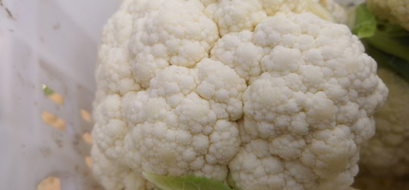 雪球白面实花菜加工厂超市都可