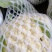 雪球白面实花菜加工厂超市都可