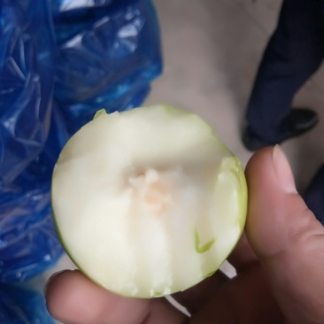 台湾牛奶大青枣，