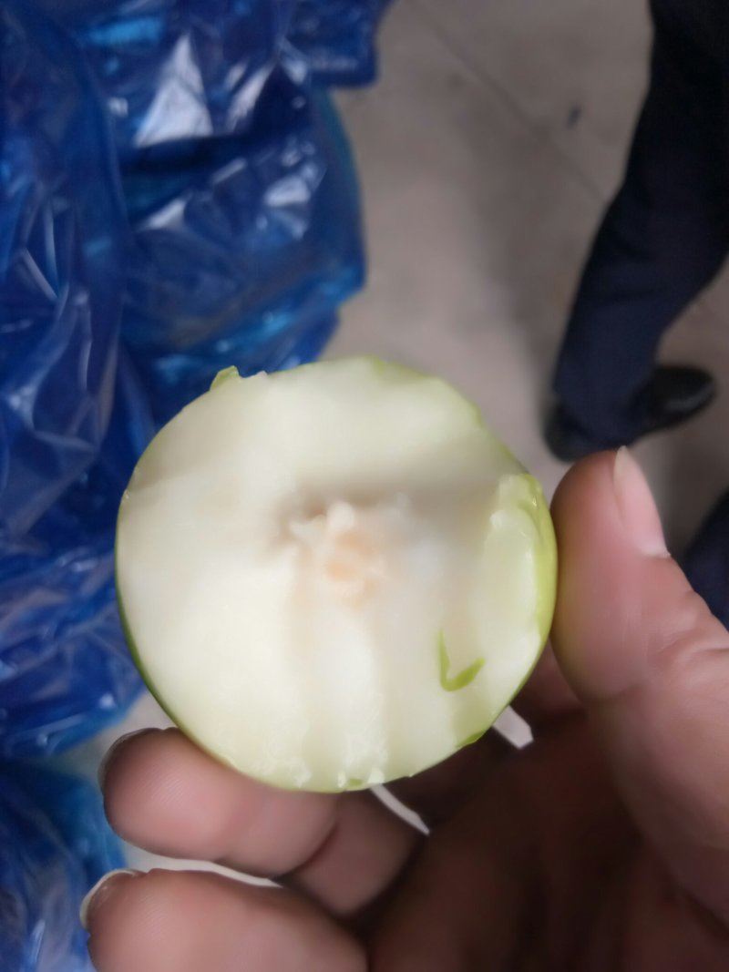 台湾牛奶大青枣，