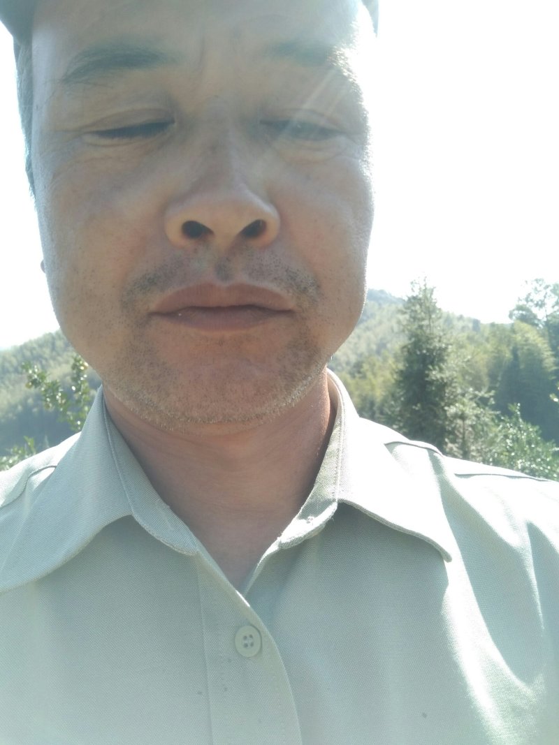 皇帝柑