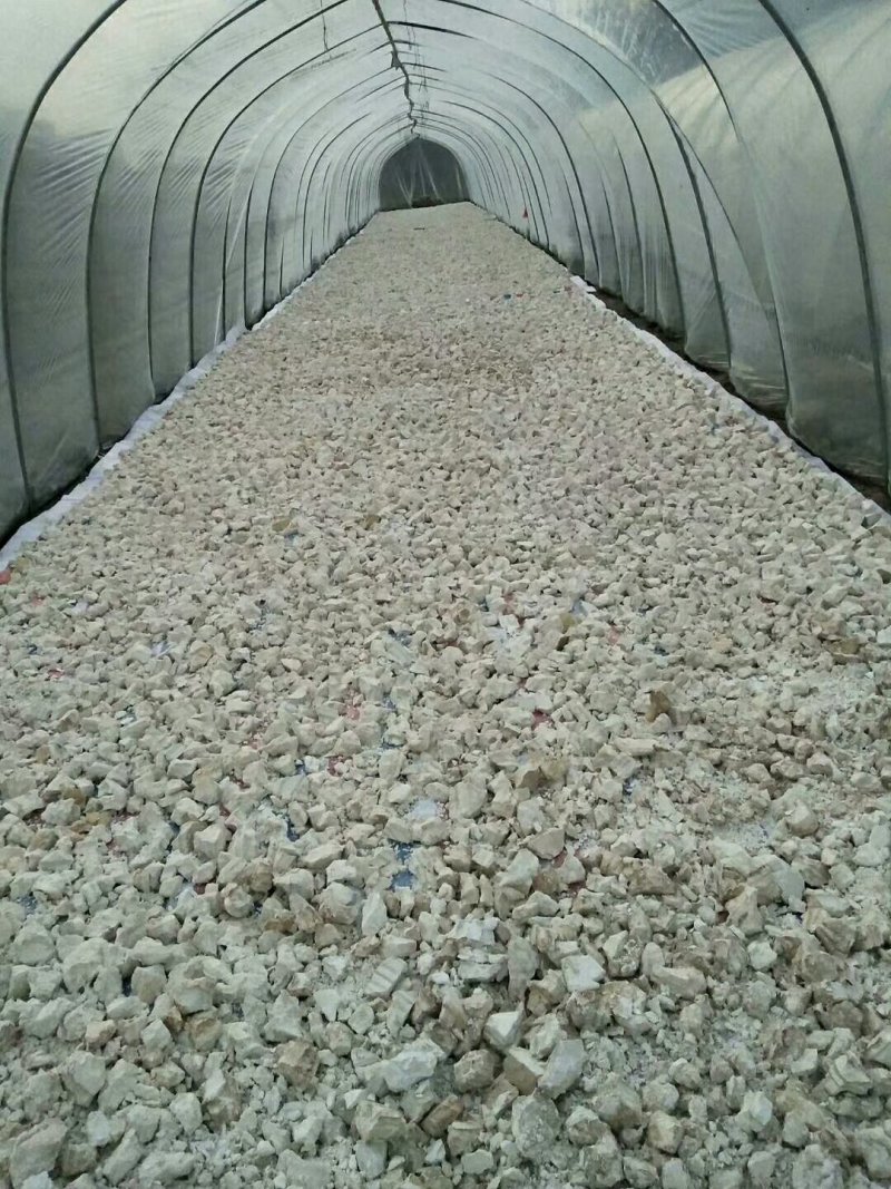 红薯粉