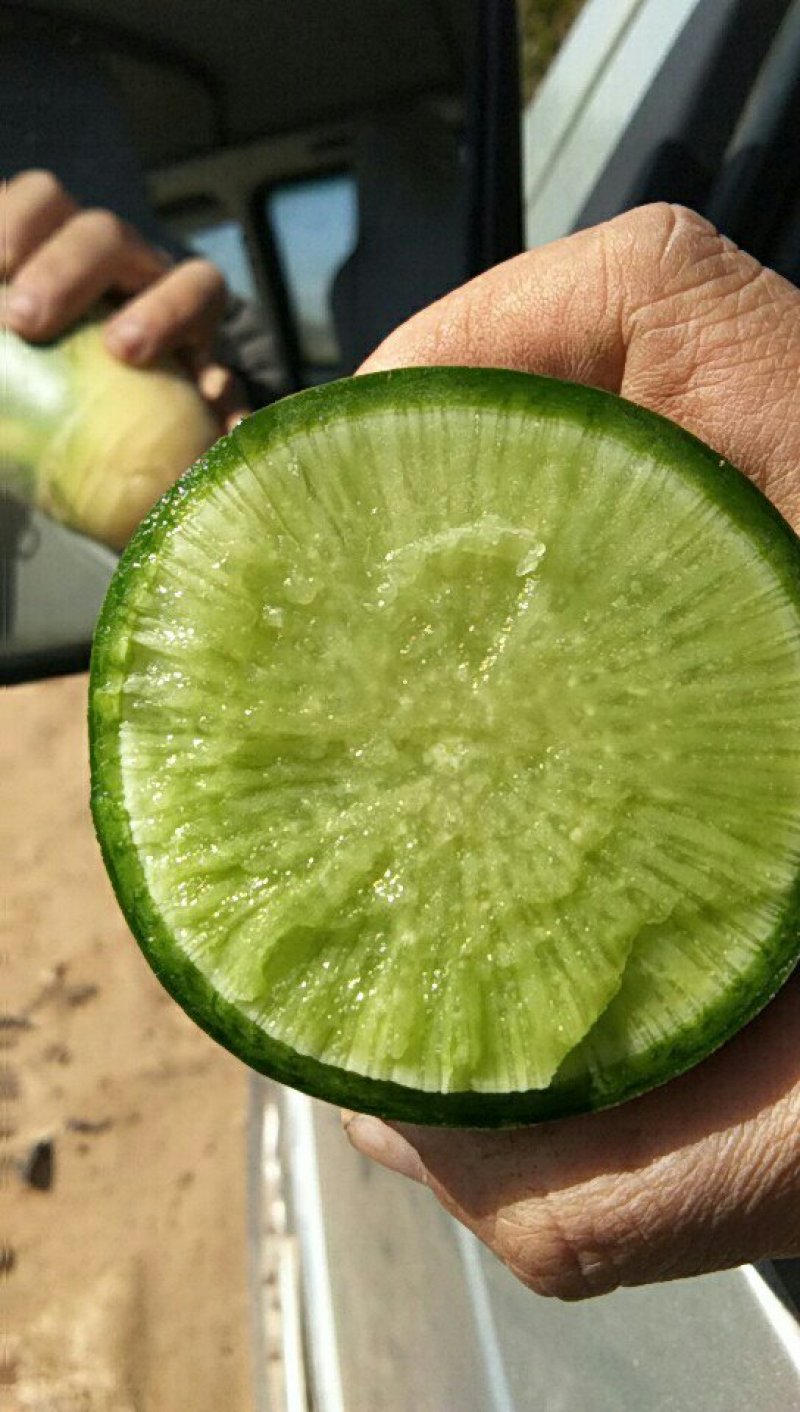 水果萝卜