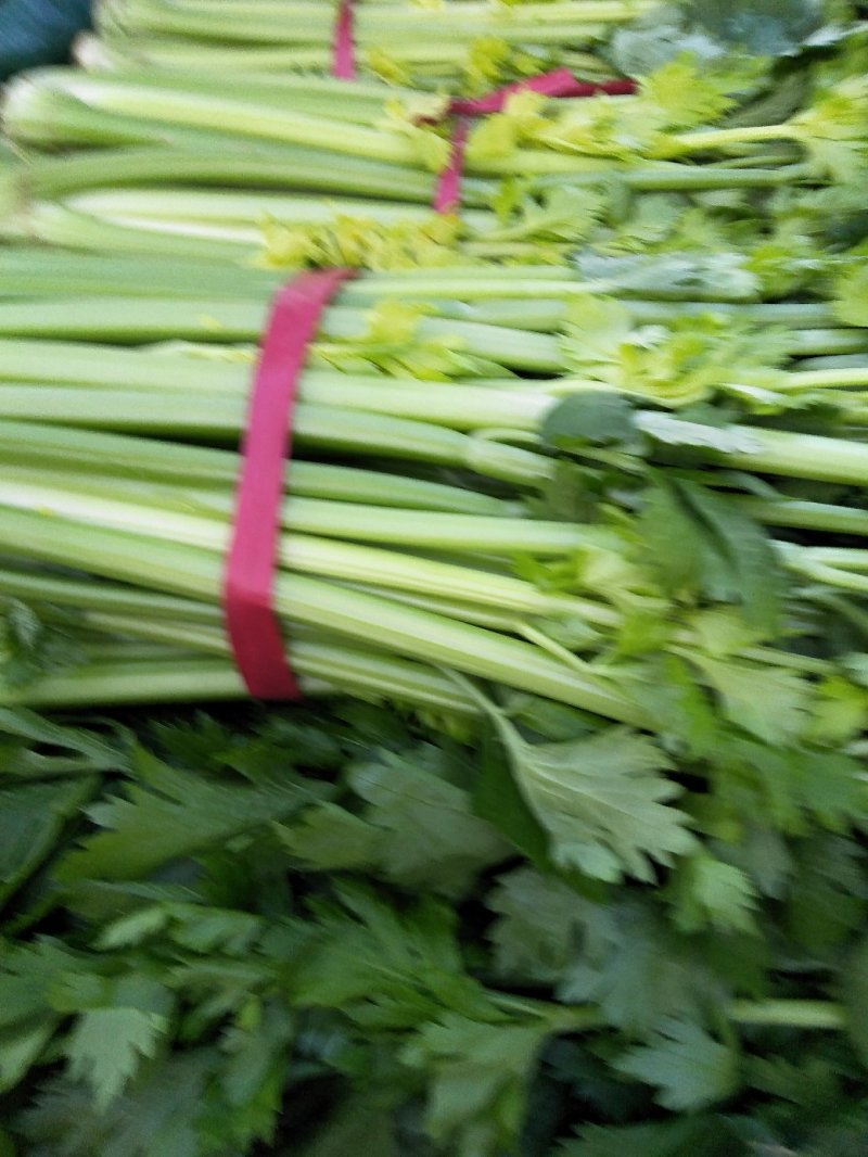 芹菜