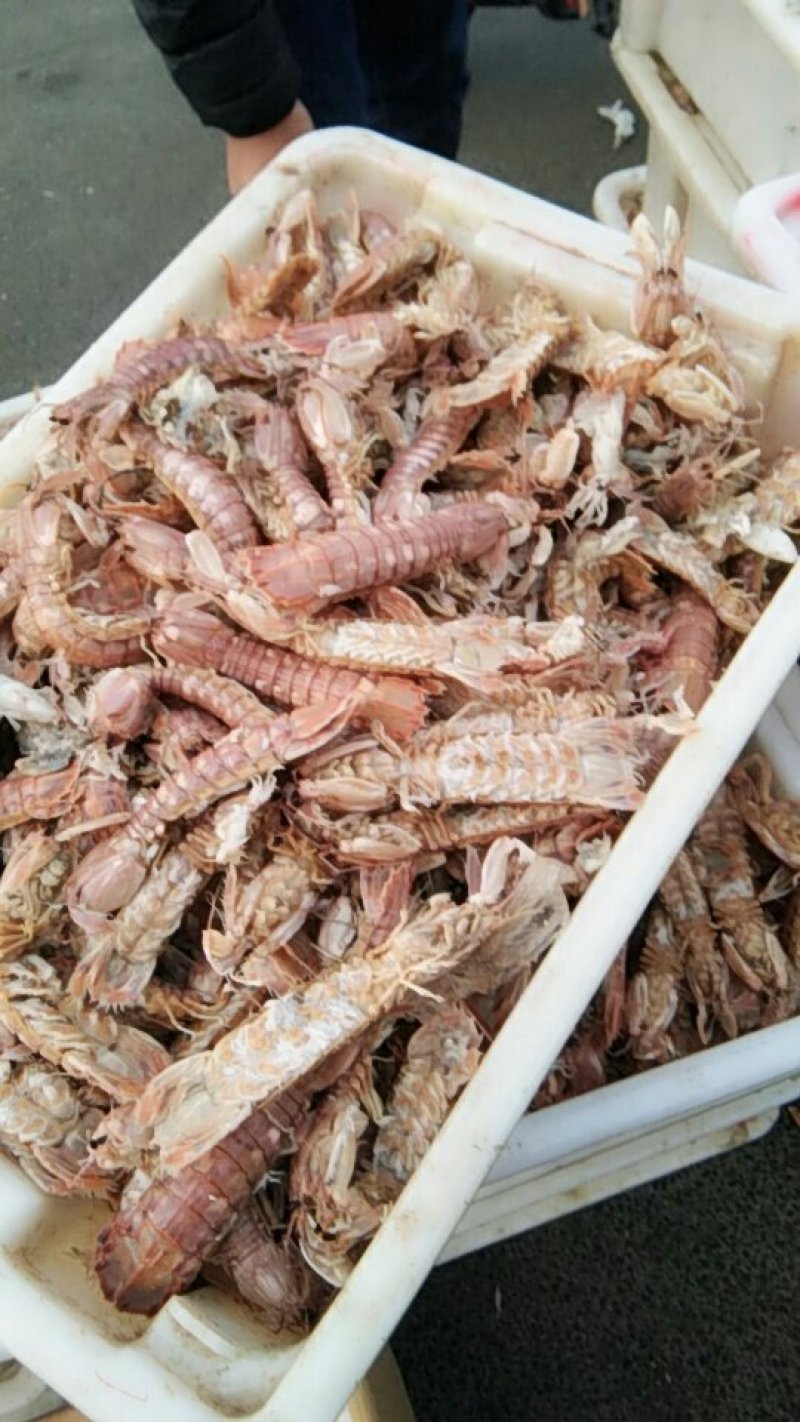 琵琶虾