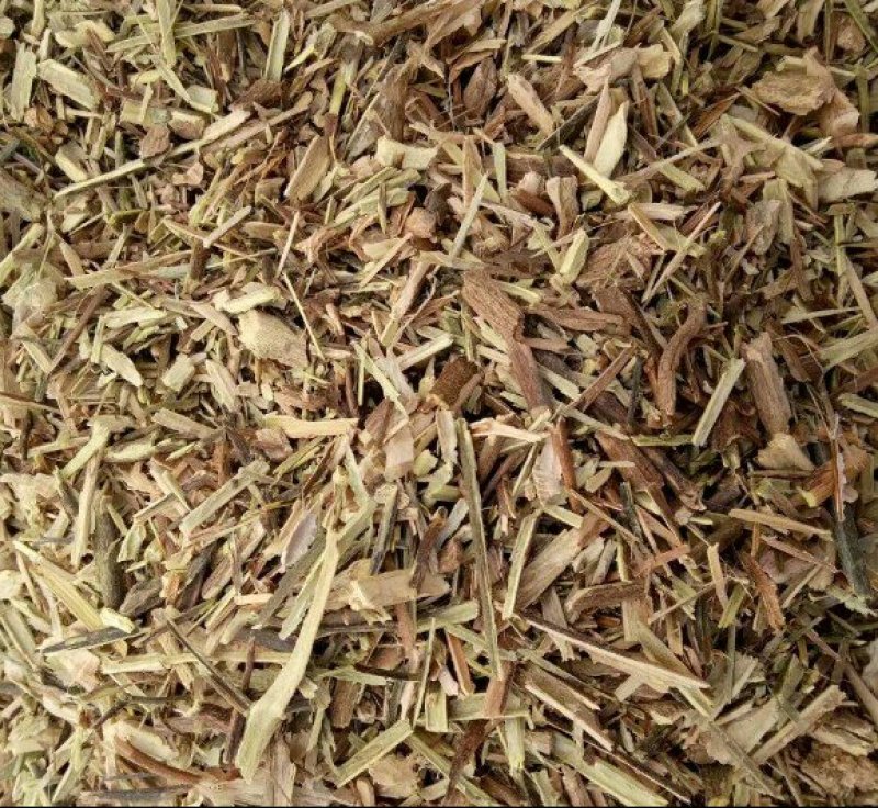 颠茄草20新草欢迎各位老板前来考察