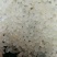 小粒香胚芽米10斤包邮。