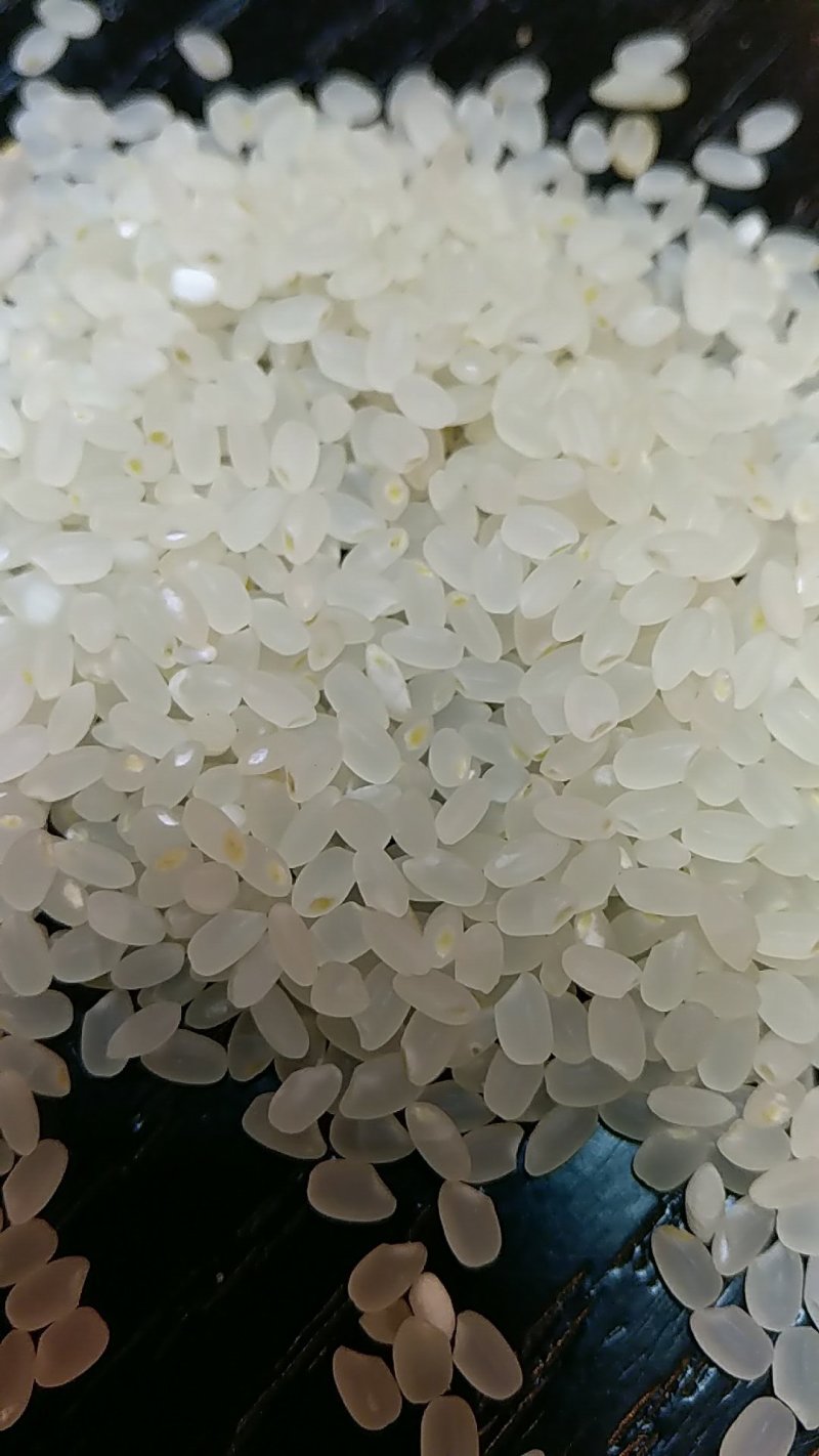 小粒香胚芽米10斤包邮。