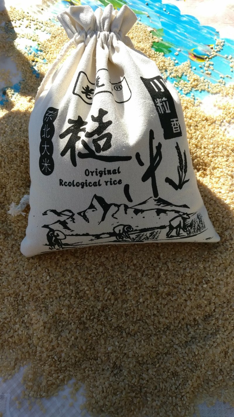小粒香胚芽米10斤包邮。