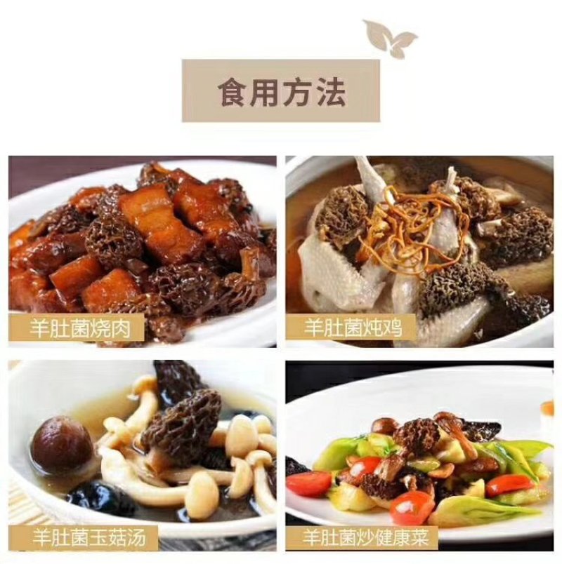 青藏特产羊肚菌