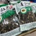青藏特产羊肚菌