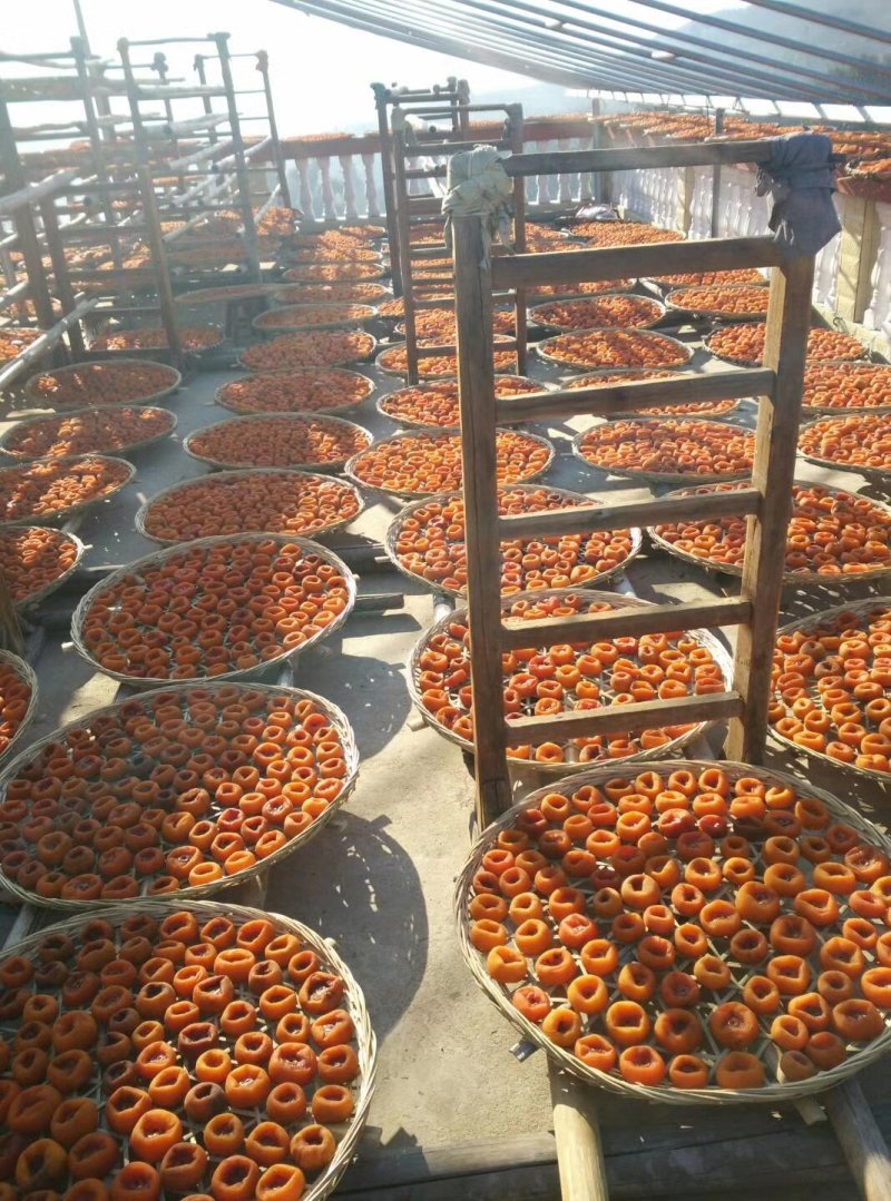大量供应优质柿饼