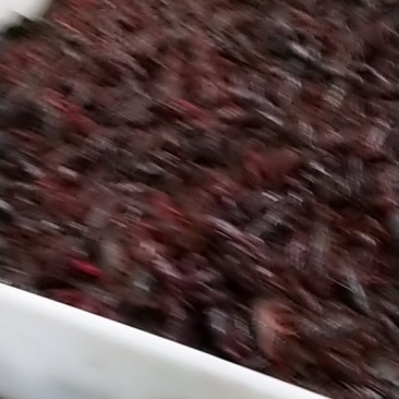 龙虾