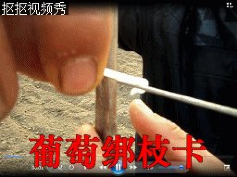 结实耐用绑枝卡6厘米绑蔓卡子绑枝卡扣枝条卡子