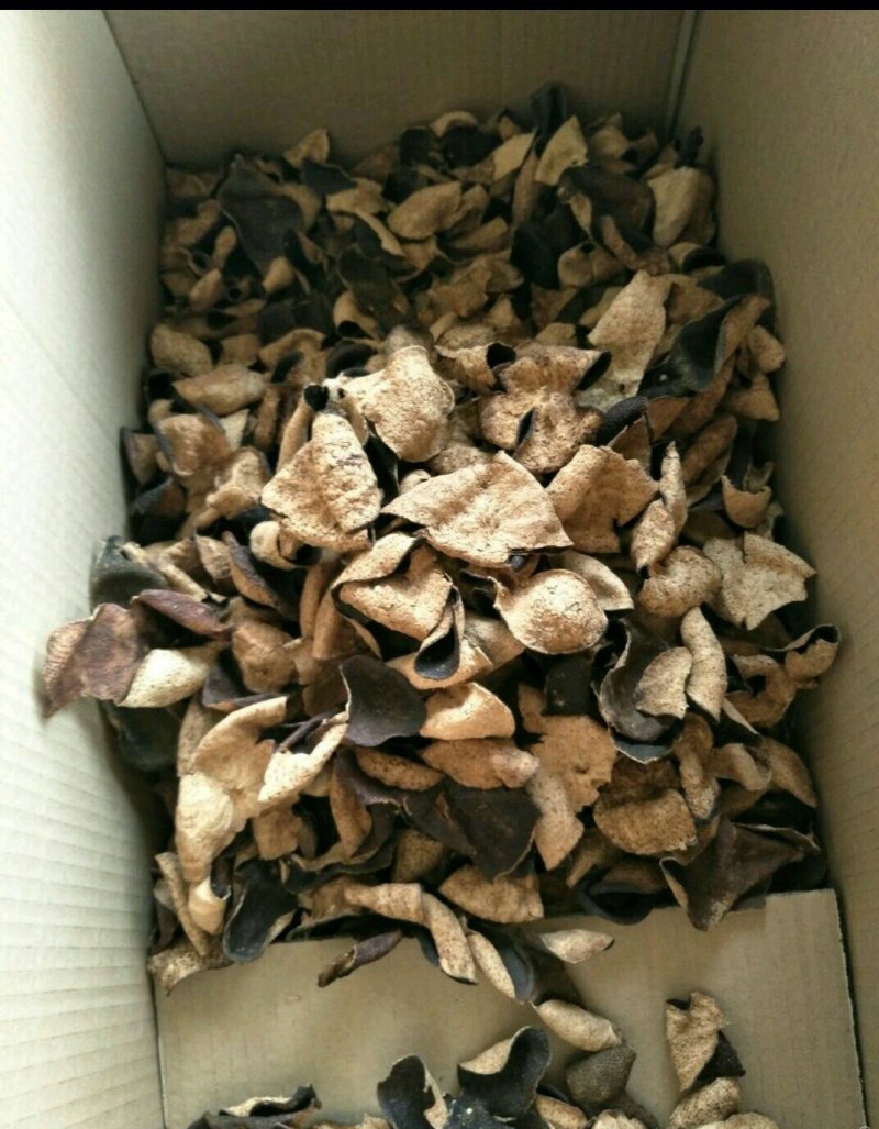 品质陈皮24小时在线产地直发正品保障尽在农产品电商平台