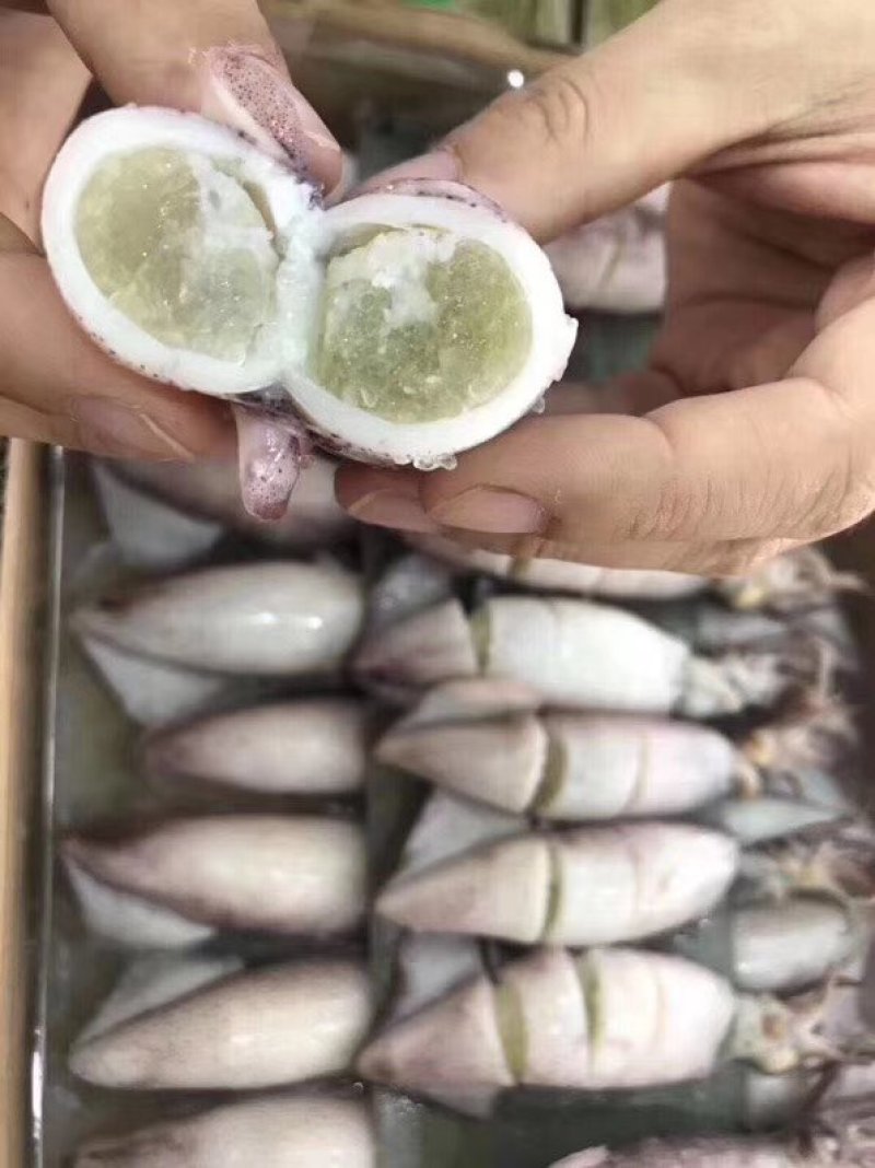 丹东特产全籽籽乌笔管鱼涮锅专用