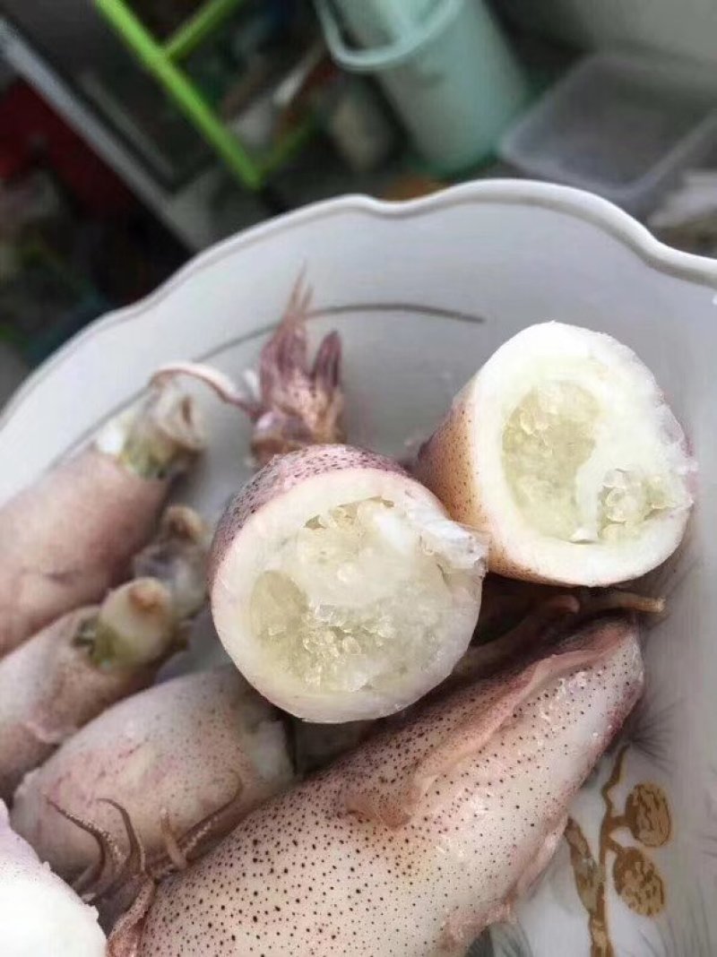 丹东特产全籽籽乌笔管鱼涮锅专用