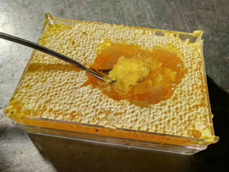 新疆黑锋巢蜜