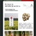非遗传承博爱晒伏姜手工姜糖膏250克姜茶
