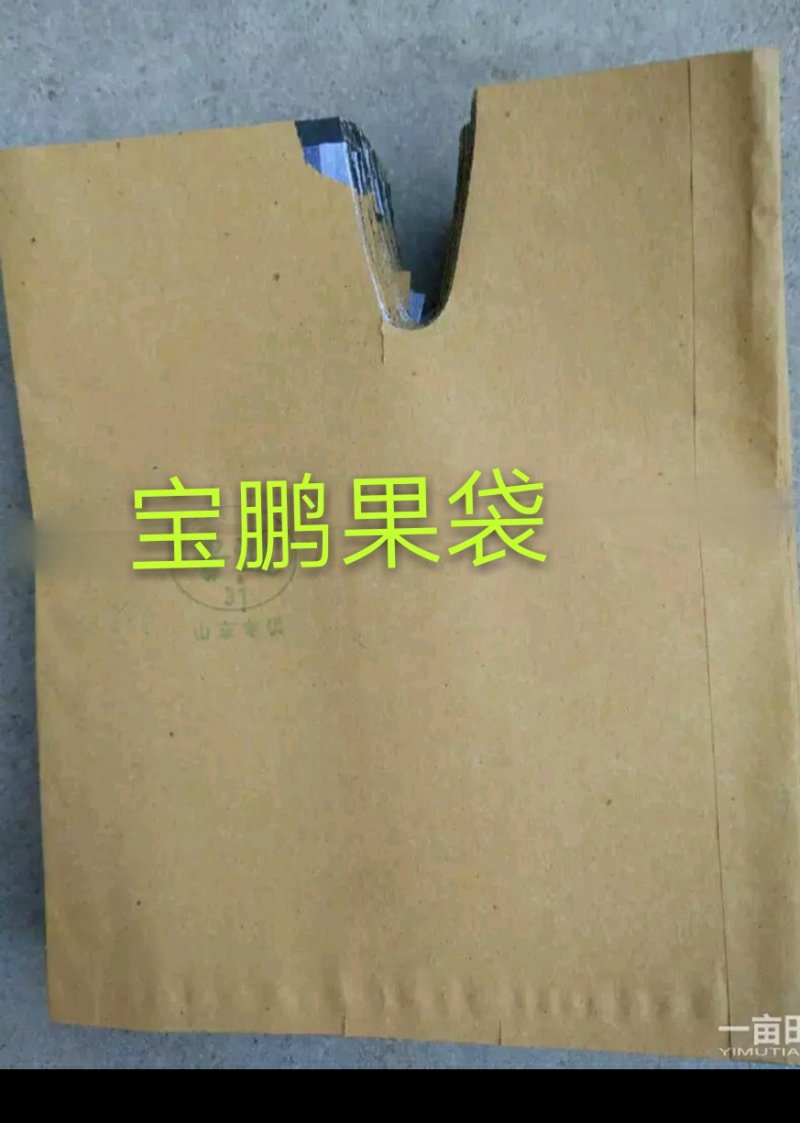 宝鹏牌优质桃子袋，桃子套袋