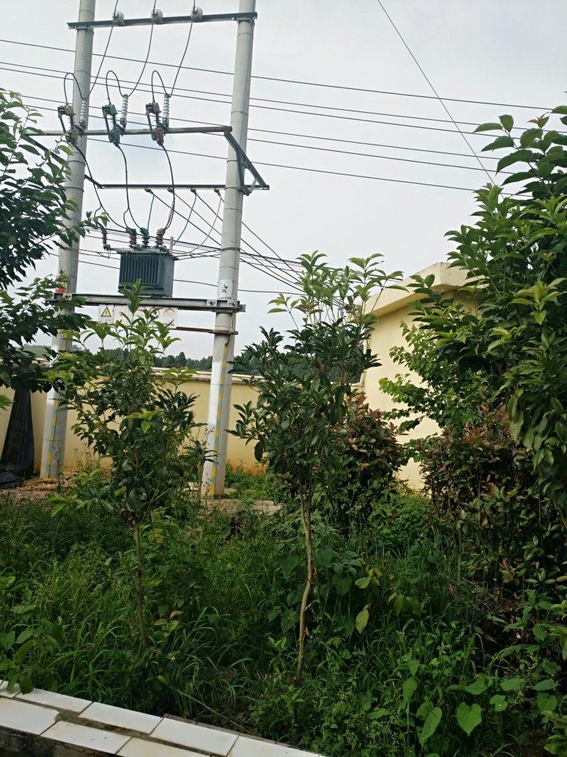 厂房