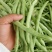 四季豆，豆角，青豆。大量上市四季豆。新苗上市