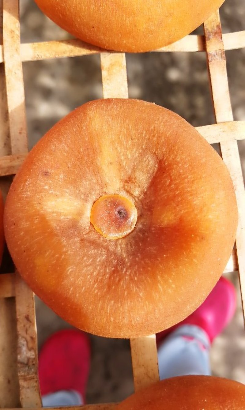 广西桂林柿饼，恭城柿饼月柿