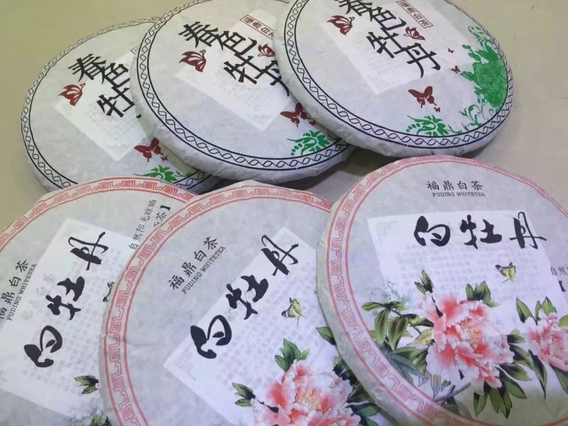 聚香园福鼎白茶白牡丹