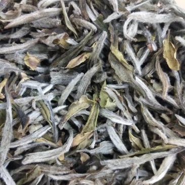 聚香园福鼎白茶白牡丹