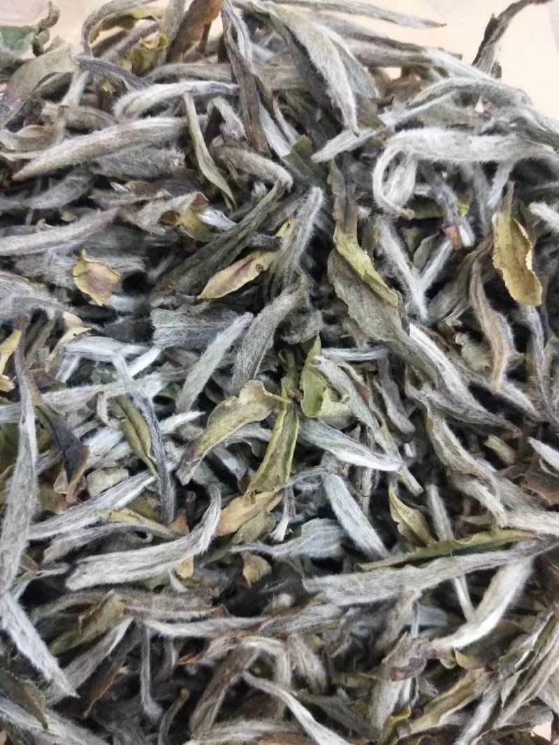 聚香园福鼎白茶白牡丹