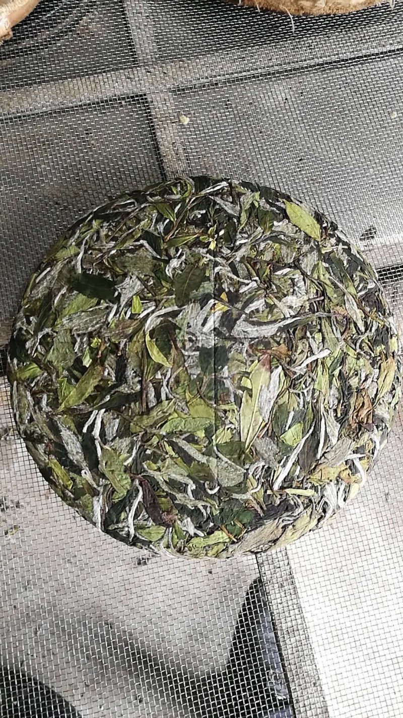 聚香园福鼎白茶白牡丹