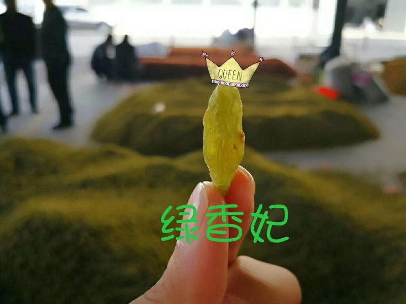 绿香妃