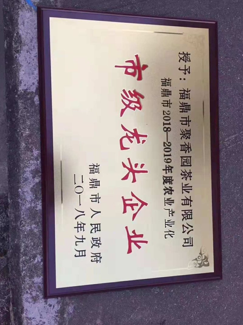 聚香园福鼎白茶白牡丹
