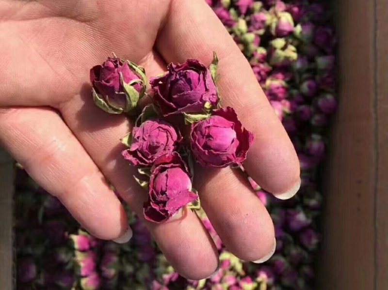 玫瑰花茶