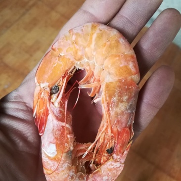 对虾