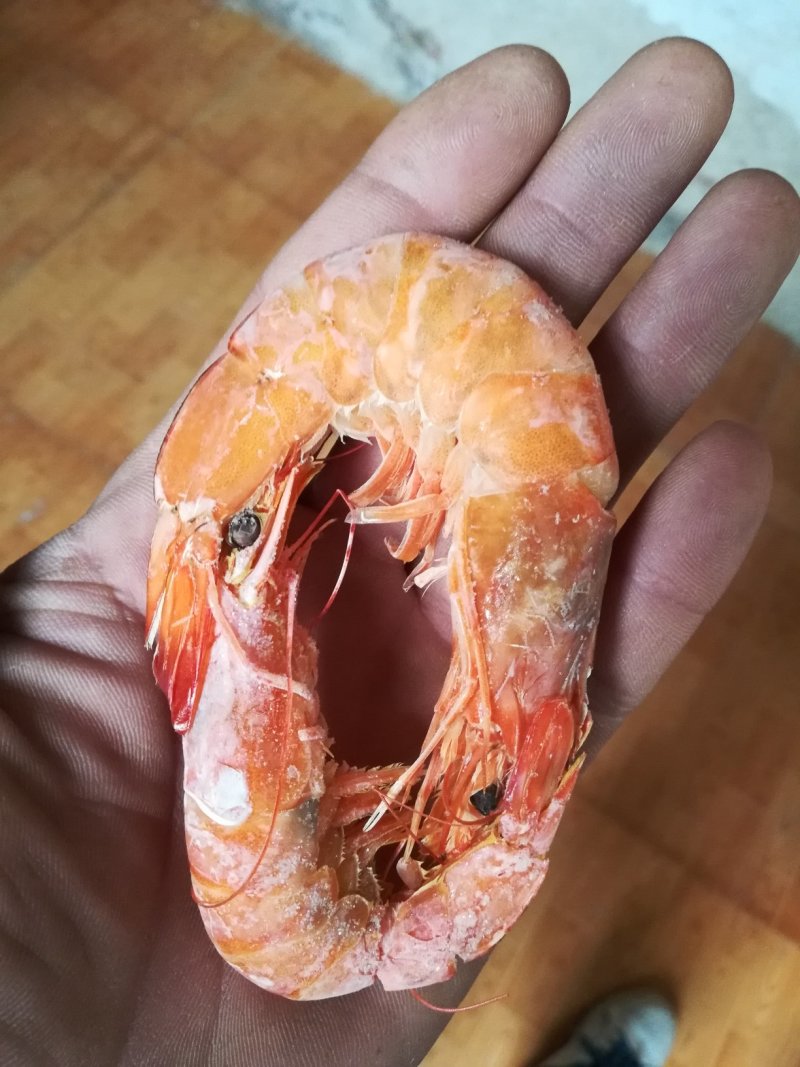 对虾