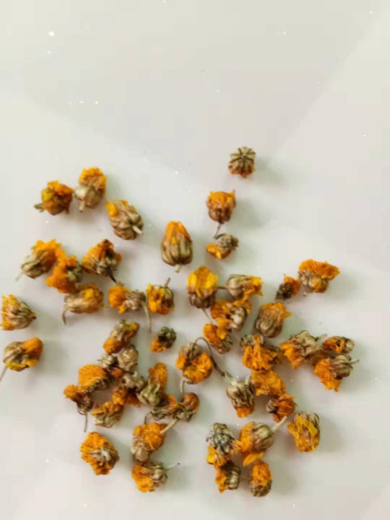 河南省精品野菊花干净无杂质无杂草纯颗粒
