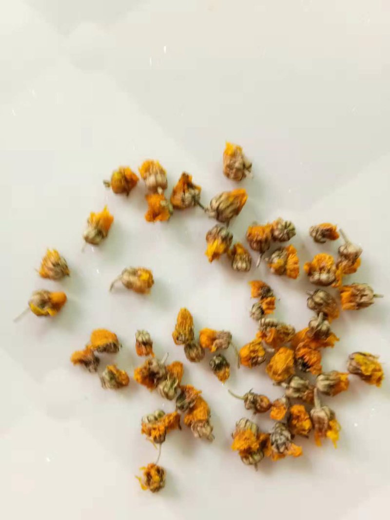河南省精品野菊花干净无杂质无杂草纯颗粒