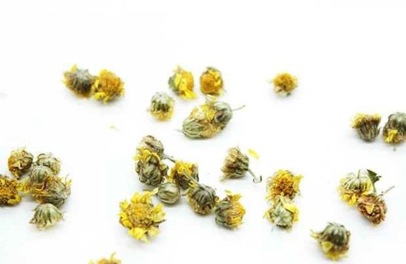 河南省精品野菊花干净无杂质无杂草纯颗粒