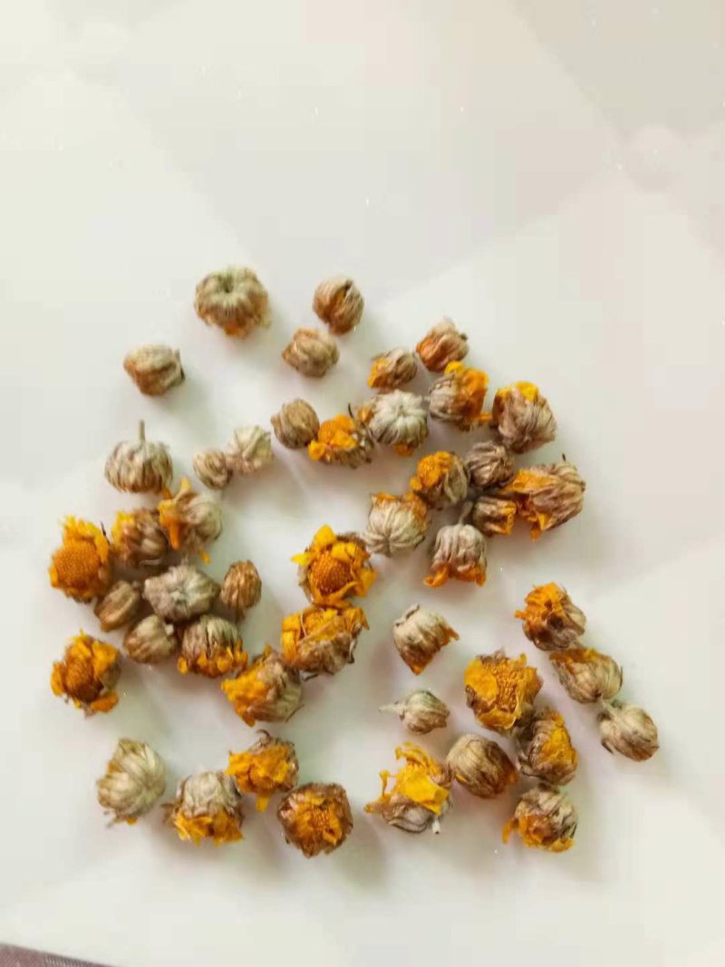 河南省精品野菊花干净无杂质无杂草纯颗粒