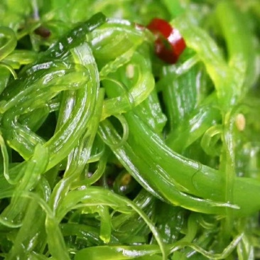 即食海藻
