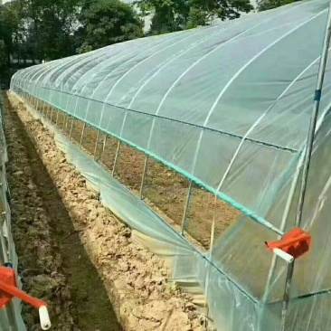 大棚成套钢架大棚