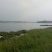 河虾，山根鱼