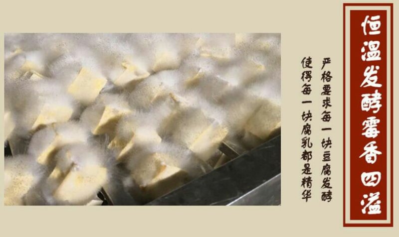 富溪腐乳800g湖南特产农家自制手工紫砂坛装无油香辣味