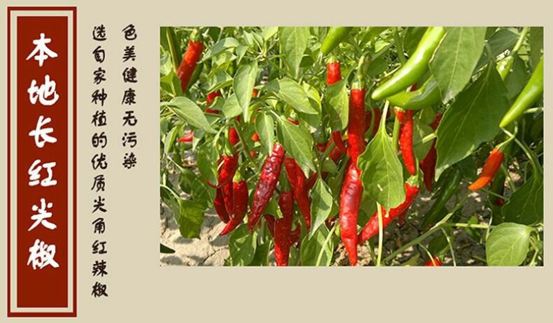 富溪腐乳800g湖南特产农家自制手工紫砂坛装无油香辣味