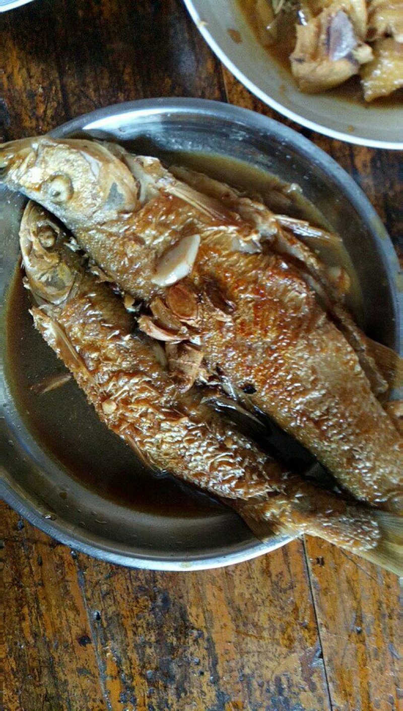 河虾，山根鱼